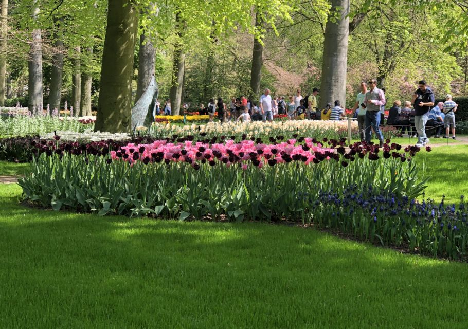 Amsterdam: Keukenhof Tulip Garden and Giethoorn Experience - Who this tour fits best (and who should reconsider)