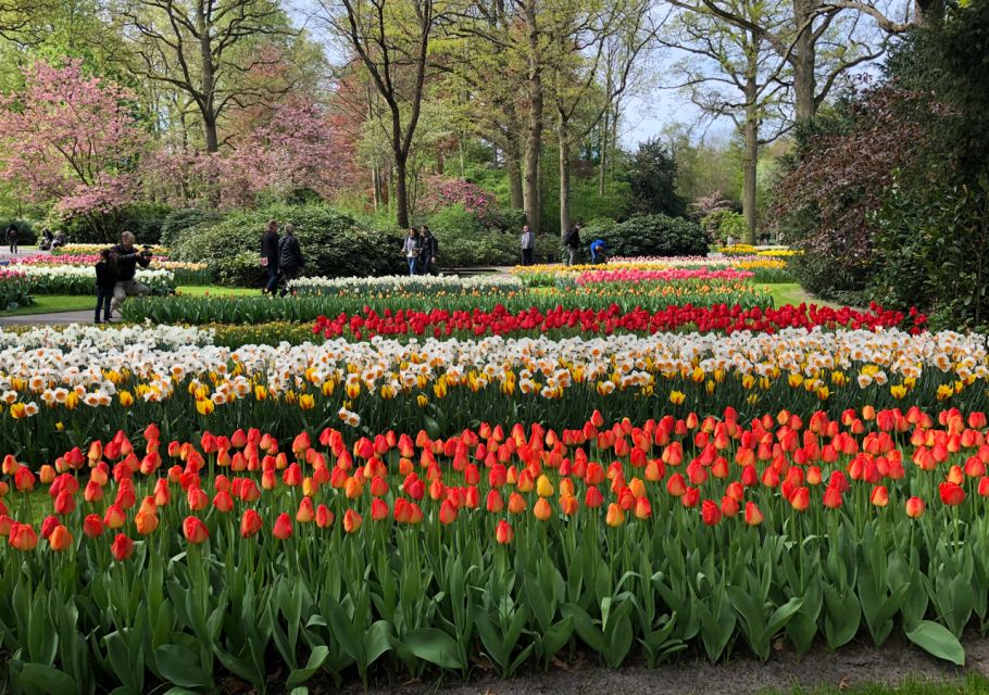 Amsterdam: Keukenhof Tulip Garden and Giethoorn Experience - Giethoorn Village: canals, bridges, and that Venice of the North feel