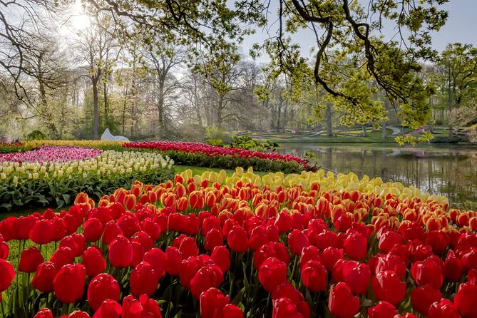 Amsterdam: Keukenhof, Zaanse Schans & Volendam Tour - Keukenhof Gardens With Fast-Track Entry: How to Enjoy 80+ Acres Without Getting Lost