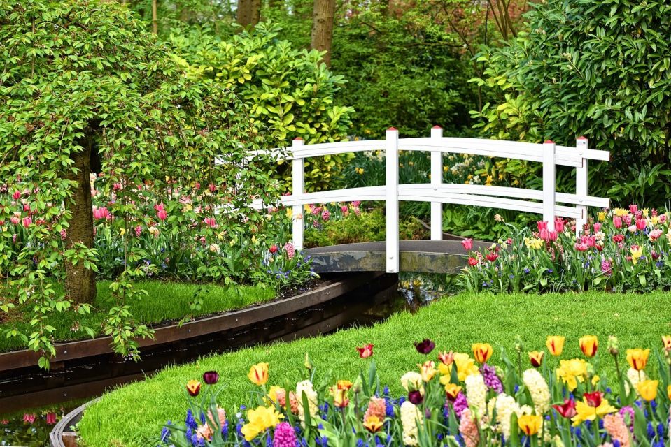 Amsterdam: Keukenhof & Zaanse Schans Windmills Private Tour - Who should book this private Keukenhof and Zaanse Schans day
