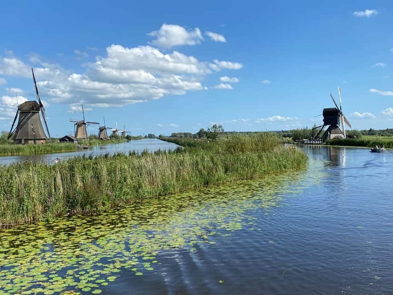 Amsterdam: Kinderdijk, Euromast, Delft and Den Haag Day Tour - Price and value: is $152 fair for this 8.5-hour mix?
