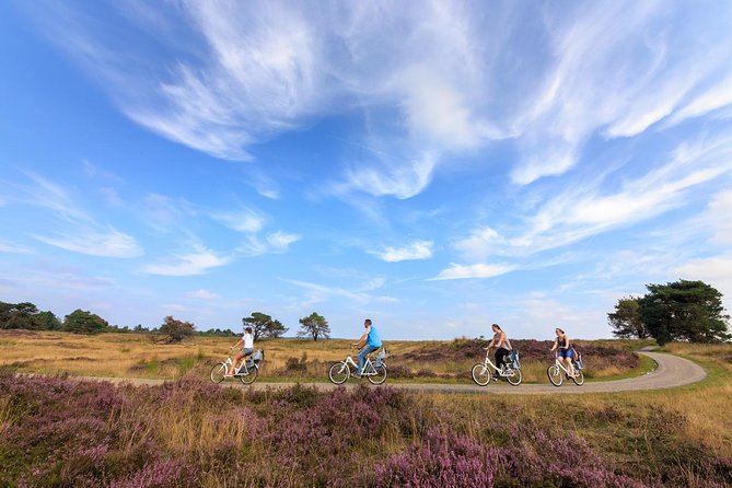 Amsterdam: Kröller Müller Museum and Hoge Veluwe NP Private Tour - Sculpture garden time: big outdoor art, and why your route matters