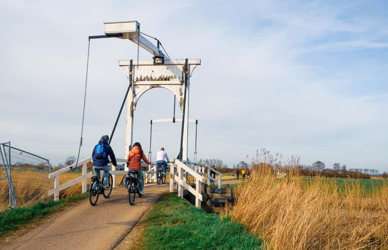 Amsterdam: Leisurely Windmill & Countryside Bike Ride - Cheese tasting and the Amsterdam North eco-farm stop with big pigs