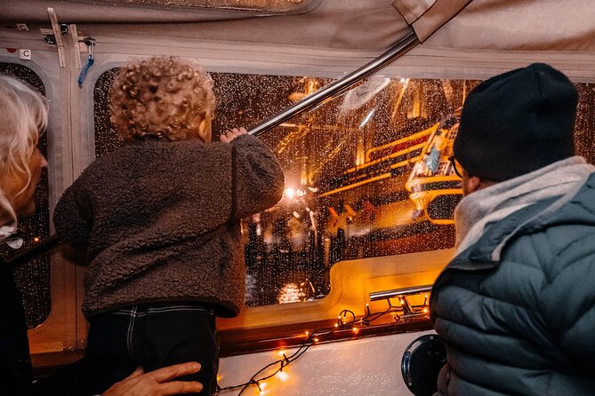 Amsterdam: Light Festival Shared Boat with unlimited drinks - Who should book this, and who might skip it