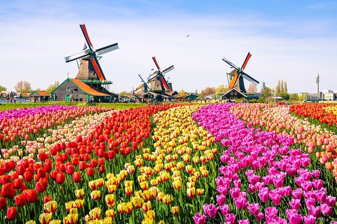 Amsterdam Pass: 45+ Things To Do - Includes Rijksmuseum - A Day Trip Bonus: Windmills, Keukenhof, and Big Netherlands Energy