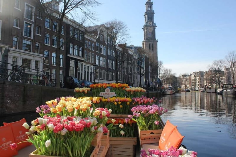 Amsterdam: Premium Tulip Boat Canal Tour - Premium Tulip Boat Cruise in Amsterdam: The One-Hour Sweet Spot