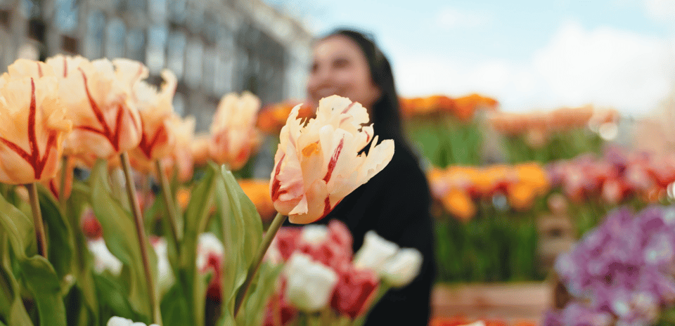 Amsterdam: Premium Tulip Boat Canal Tour - Onboard Bar, Drinks, and the Mood of the Cruise