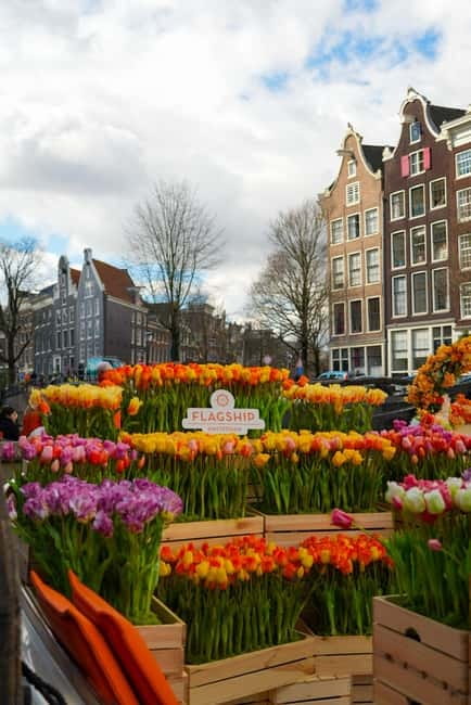 Amsterdam: Premium Tulip Boat Canal Tour - Quick Price Reality Check: Is $32 Worth It?