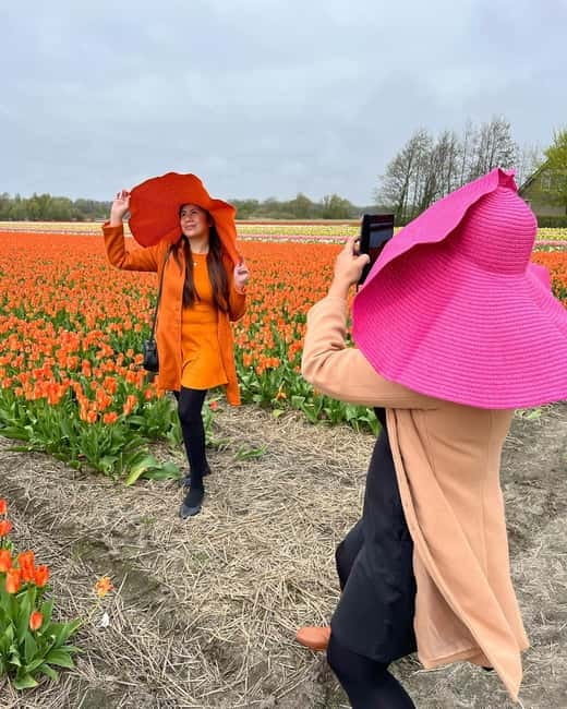 Amsterdam: Private Keukenhof and Free Tulip Tour - Key points to know before you go