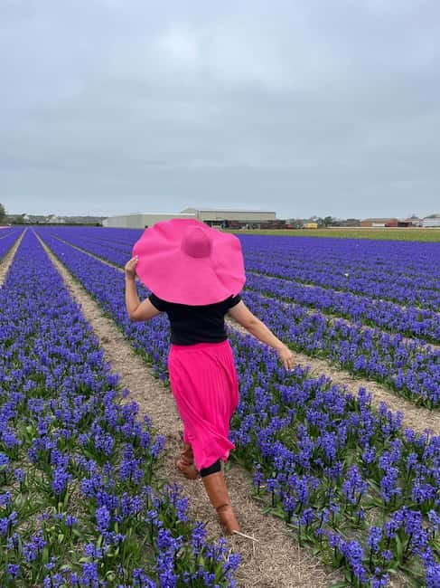 Amsterdam: Private Keukenhof and Free Tulip Tour - Custom touches: lunch, beach requests, and small detours