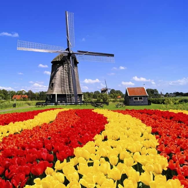Amsterdam: Private Keukenhof and Free Tulip Tour - Keukenhof time: how to use your hours in the gardens