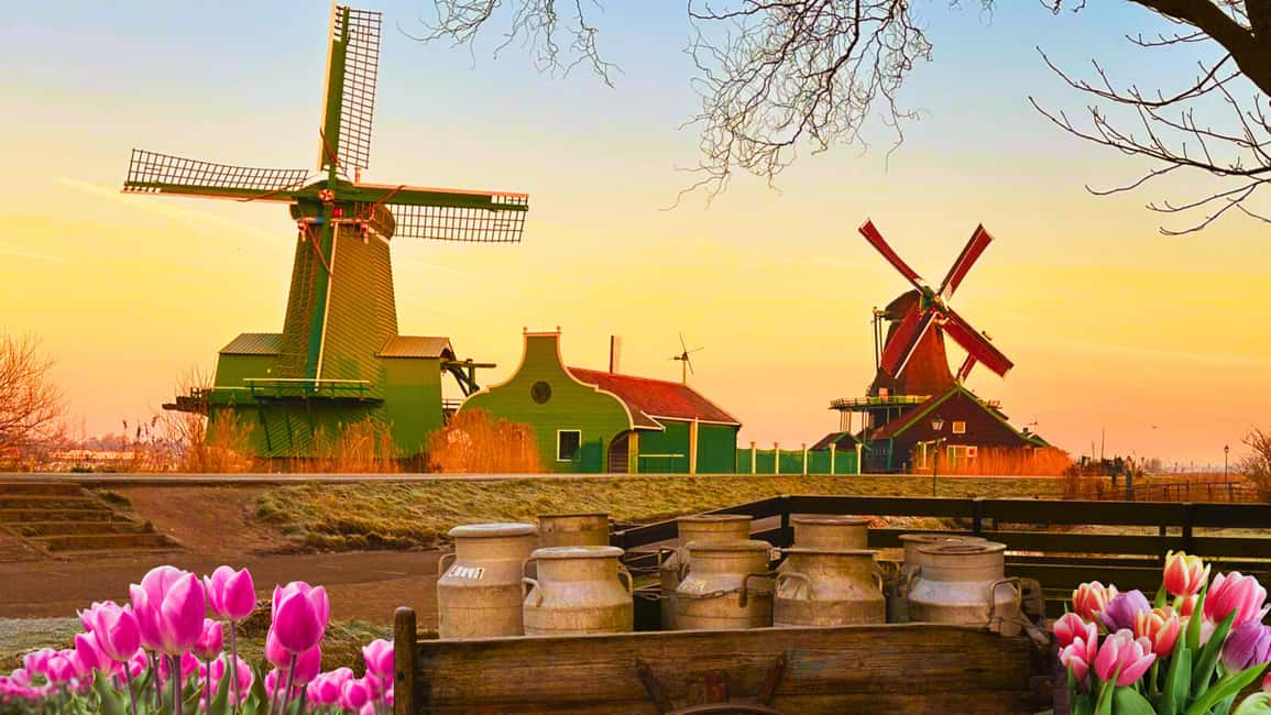 Amsterdam: Private Tour Giethoorn, Zaanse Schans Local Guide - Zaanse Schans windmills: the classic look, plus an optional inside fee