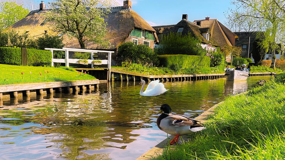 Amsterdam: Private Tour Giethoorn, Zaanse Schans Local Guide - Weather, shoes, and the tiny details that matter