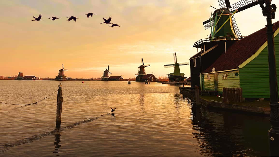 Amsterdam: Private Tour Giethoorn, Zaanse Schans Local Guide - 9 hours from Amsterdam: what the pacing feels like