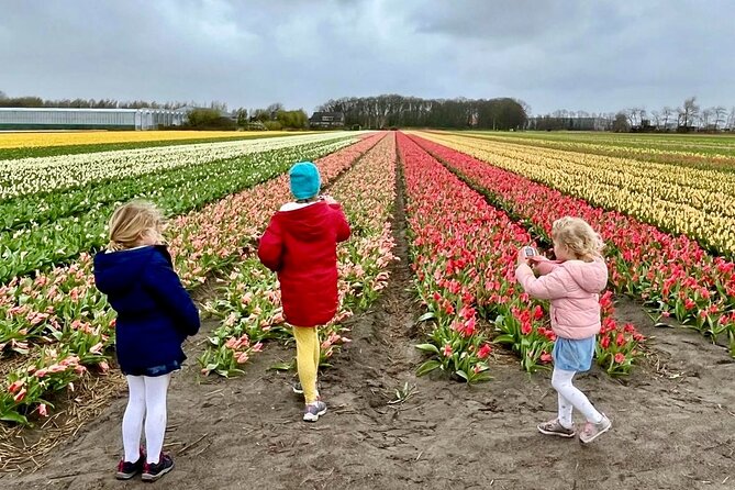Amsterdam Private Tour to Keukenhof, Tulip Fields and Windmills - Why this private Keukenhof day works better than a bus