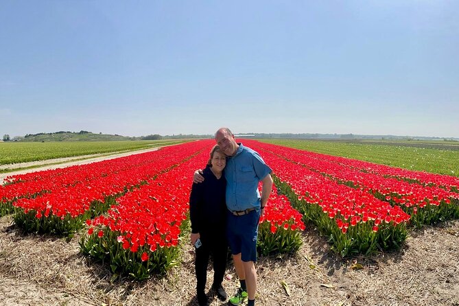 Amsterdam Private Tour to Keukenhof, Tulip Fields and Windmills - Price and logistics at a glance
