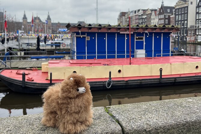 Amsterdam Private Walking & Tasting Tour - Herring, bitterballen, and a bold snack strategy