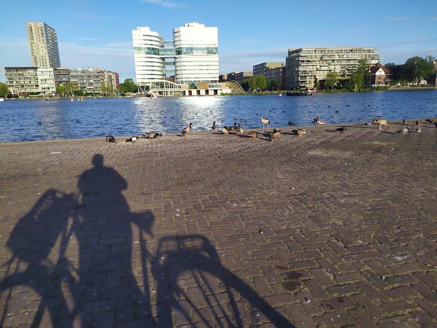 Amsterdam: Rainbow Rural Bike Tour With Local Gay Guide - Dyke country and panoramic views: the scenery that explains the Netherlands