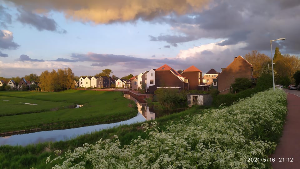 Amsterdam: Rainbow Rural Bike Tour With Local Gay Guide - Wooden houses, cows, and sheep: small rural details that make it real