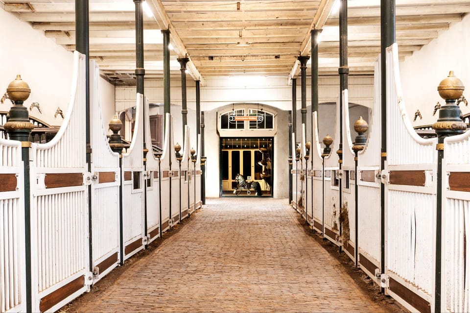 Amsterdam: The 'Hollandsche Manege' Stables Entry Ticket - Practical tips before you go (and how the visit usually flows)