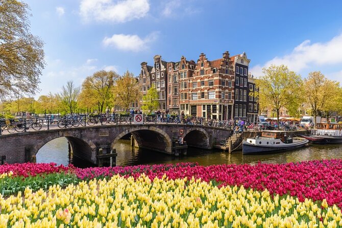 Amsterdam to Schiphol Airport Private Transfer - When plans change: helping with special needs and surprises