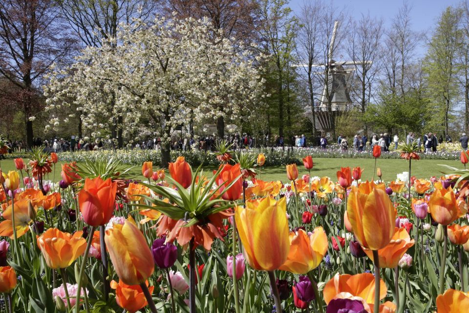Amsterdam: Tour to Keukenhof Gardens with Windmill Cruise - Who should book this Keukenhof + windmills day trip