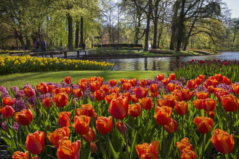 Amsterdam: Tour to Keukenhof Gardens with Windmill Cruise - Should you book it?