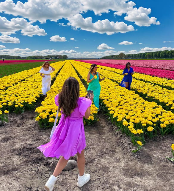 Amsterdam: Tulip Fields Day Tour with Lunch & Windmill - Walking through 3 tulip fields: what you’re really paying for
