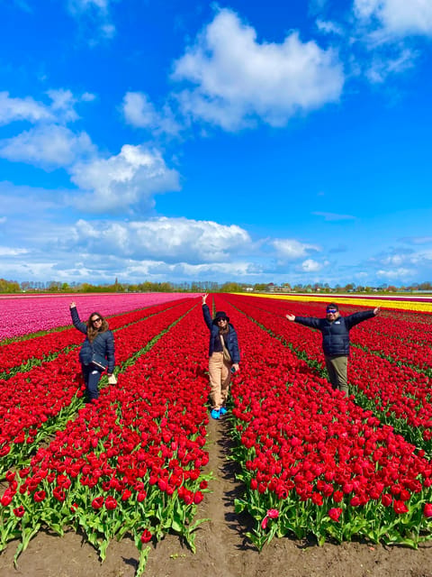 Amsterdam: Tulip Fields Day Tour with Lunch & Windmill - The 1633 working windmill near Schermer: inside time, not just a photo stop