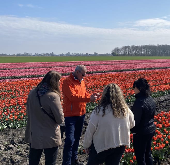 Amsterdam: Tulip Fields Day Tour with Lunch & Windmill - Value check: is $143 a fair deal?