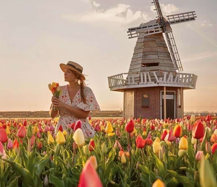Amsterdam : Tulip Wonderland Tour - Why South Holland’s Tulip Barn feels more like a visit than a rush