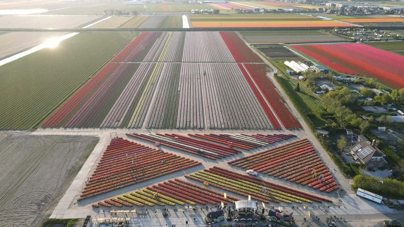 Amsterdam : Tulip Wonderland Tour - Guide, skip-the-line entry, and pacing that stays friendly