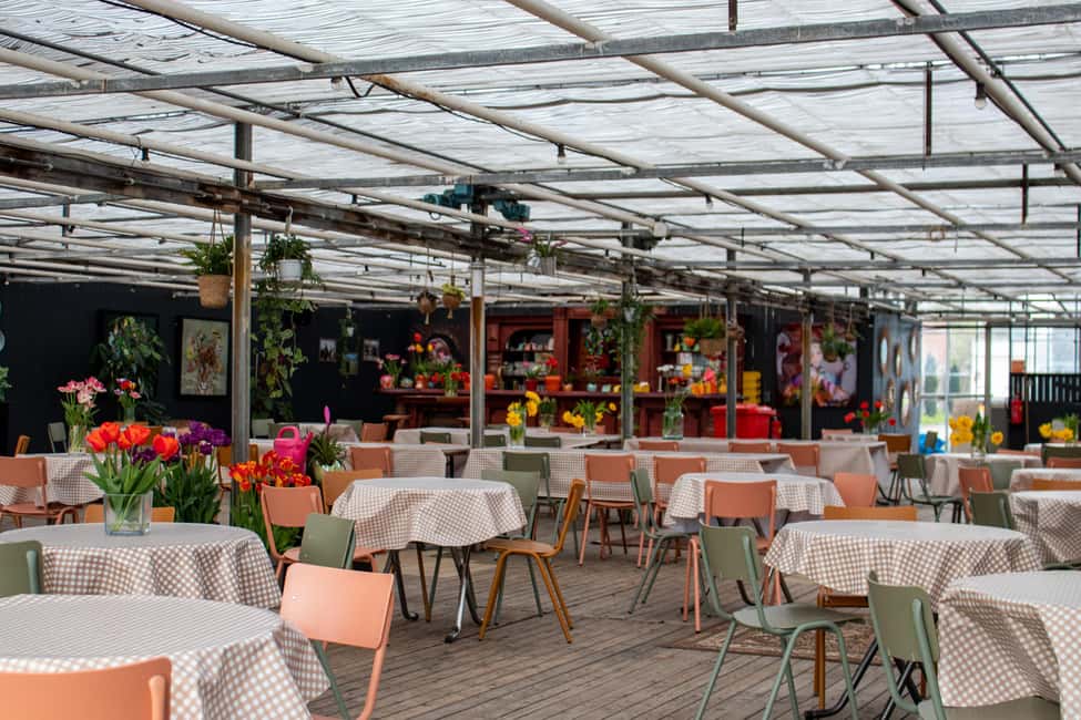 Amsterdam : Tulip Wonderland Tour - Flowers, timing, and the lunch reality