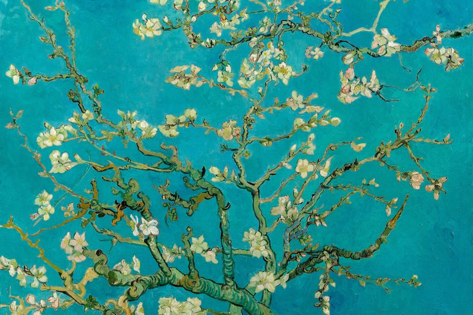 Amsterdam: Van Gogh Museum Ticket and City Canal Cruise - The combo value: Van Gogh Museum with a 75-minute canal cruise