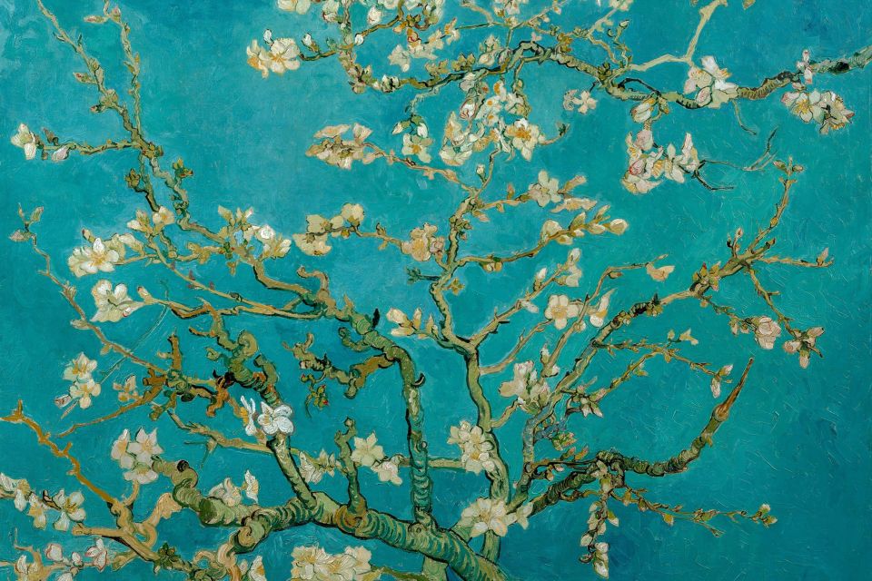 Amsterdam: Van Gogh Museum Ticket & Canal Cruise - Small issues to watch for: sound, boarding, and finding your start