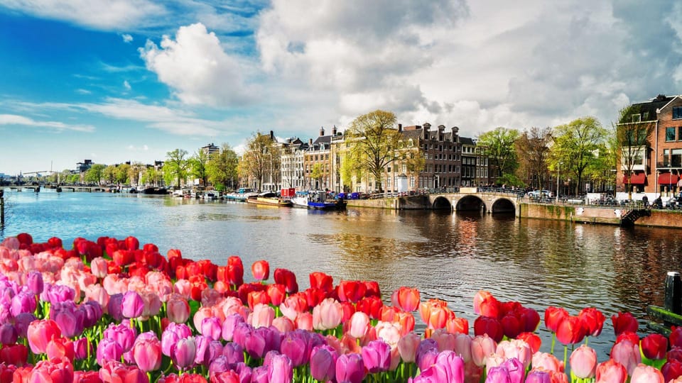 Amsterdam Walking Tour with a Local - Should You Book This Amsterdam Walking Tour with a Local?