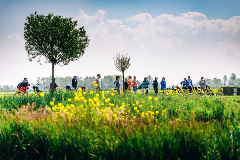 Amsterdam: Waterland District Countryside Villages Bike Tour - Price and Value: What You Get for $57