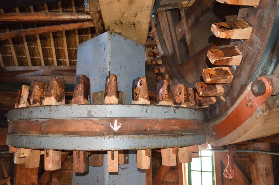 Amsterdam: Windmill Guided Tour - Rembrandt’s wax figures in the attic: quirky and surprisingly satisfying