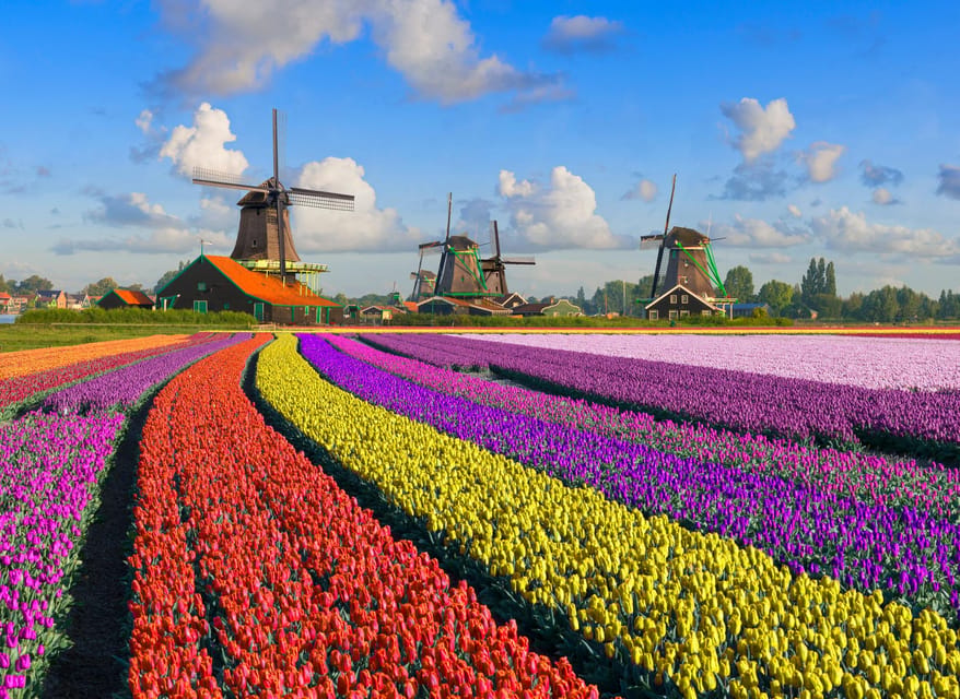 Amsterdam: Zaanse Schans, The Hague & Rotterdam Tour - Key takeaways before you go