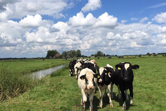 Amsterdam's Countryside Half-Day Bike Tour in Small Group - The Small-Group Cap That Makes It Feel Personal