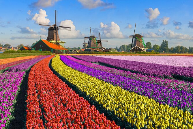 Best of Netherlands: Zaanse Schans Mills, The Hague & Rotterdam - Who this tour suits best (and who might want something else)