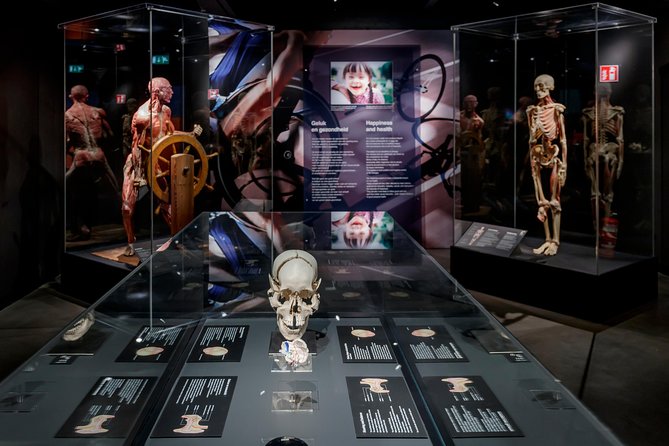 Body Worlds Amsterdam Admission Ticket - The Happiness Project: the main exhibition focus