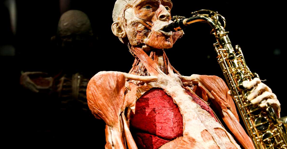 Body Worlds Amsterdam: The Happiness Project Ticket - Body Worlds Amsterdam’s Damrak setting and first impressions