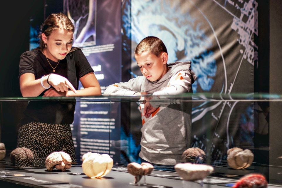 Body Worlds Amsterdam: The Happiness Project Ticket - Language help: English and Dutch signs, plus audio support