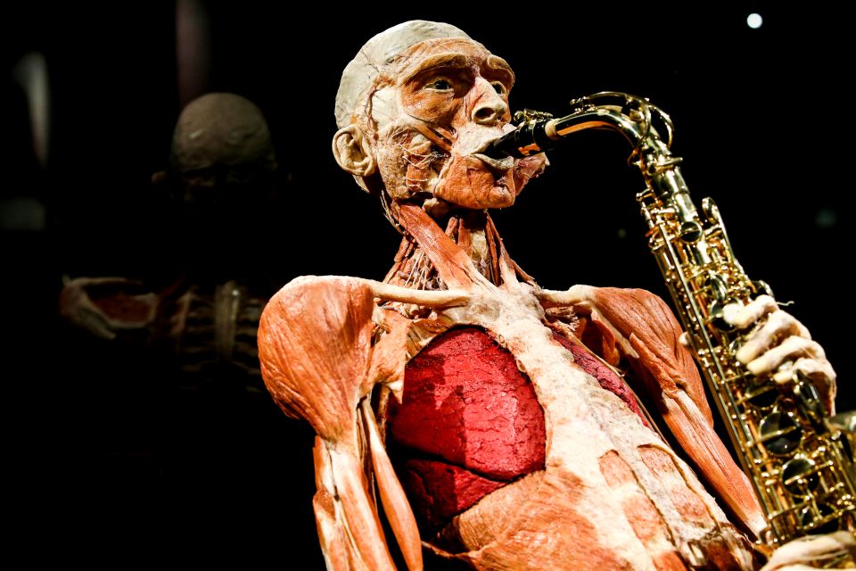 Body Worlds Amsterdam: The Happiness Project Ticket - Tickets, time slots, and how long this visit really takes