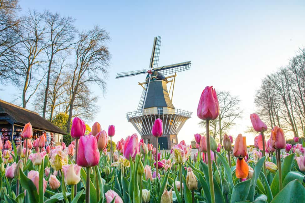 Brussels: Holland Keukenhof & Kinderdijk Guided Day Tour - Who this tour fits best (and who should skip it)