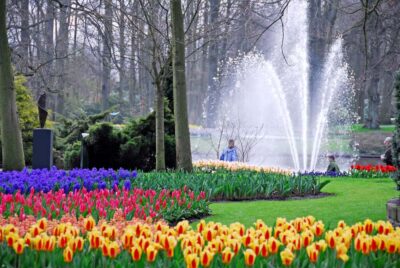 Brussels: Holland Keukenhof & Kinderdijk Guided Day Tour - Kinderdijk’s UNESCO windmills: what you’re really seeing
