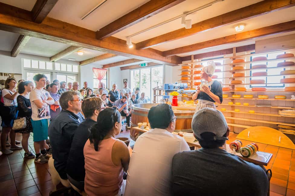 Brussels: Holland Keukenhof & Kinderdijk Guided Day Tour - Weather, timing, and the tulip reality check