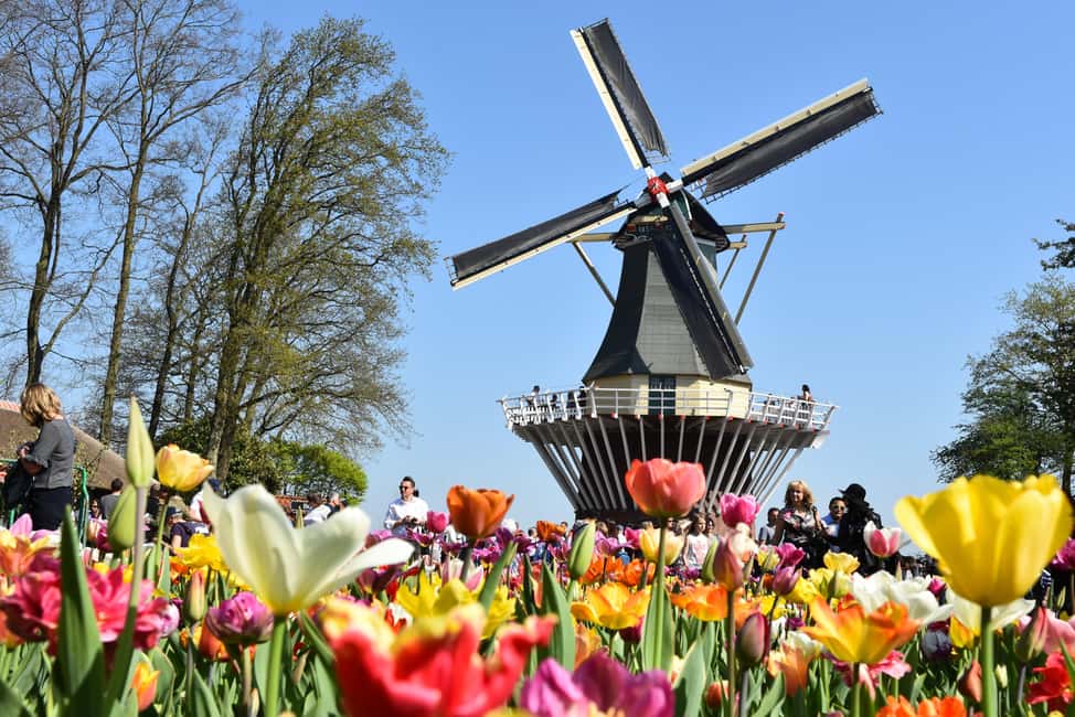 Brussels: Holland Keukenhof & Kinderdijk Guided Day Tour - What to bring (and what will slow you down)
