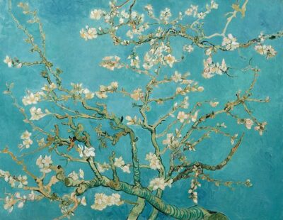 Combo Ticket: Van Gogh Museum Ticket and 1-Hour Canal Cruise - The Real Logistics Link: Museum to Canal Cruise Without Losing Your Day